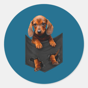 Dachshund In My Cket  Classic Round Sticker