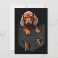 Dachshund In My Pocket Dachshund Weiner Dog Gift
