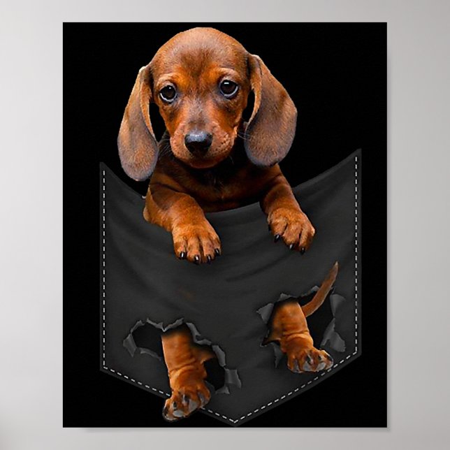 Dachshund In My Pocket Dachshund Weiner Dog Gift Poster (Front)