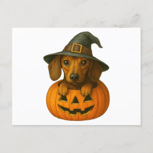 Dachshund in Pumpkin Holiday Postcard