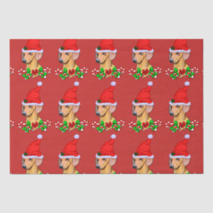 Dachshund in Santa Hat Christmas Tissue Paper