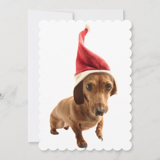 Dachshund in Santa hat Holiday Card (Front)