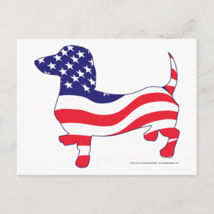 Dachshund in the American Flag Postcard