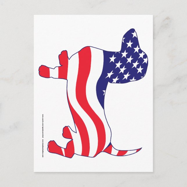 Dachshund in the American Flag Postcard (Front)