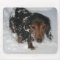 Dachshund in the Snow Mousepad