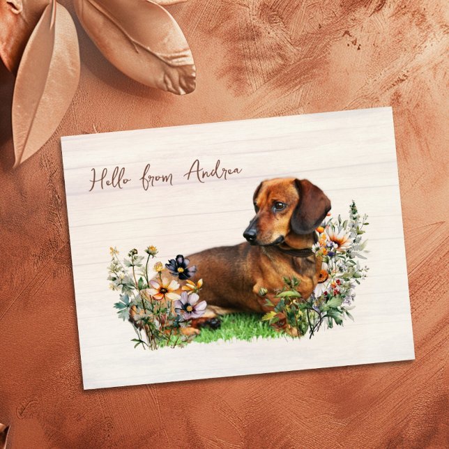 Dachshund in Wildflowers Hello From Postcard (Creator Uploaded)