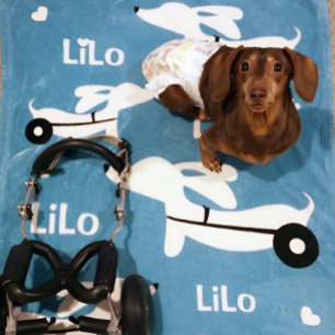 Dachshund IVDD Wheelchair for Wheelie Doxies Fleece Blanket