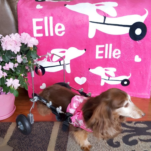 Dachshund IVDD Wheelchair Wiener Dog Pink Blanket (Wheelie dachshund gift - cozy pink personalized wheelchair cart blanket)