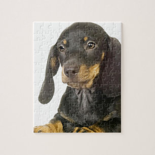 Dachshund Jigsaw Puzzle