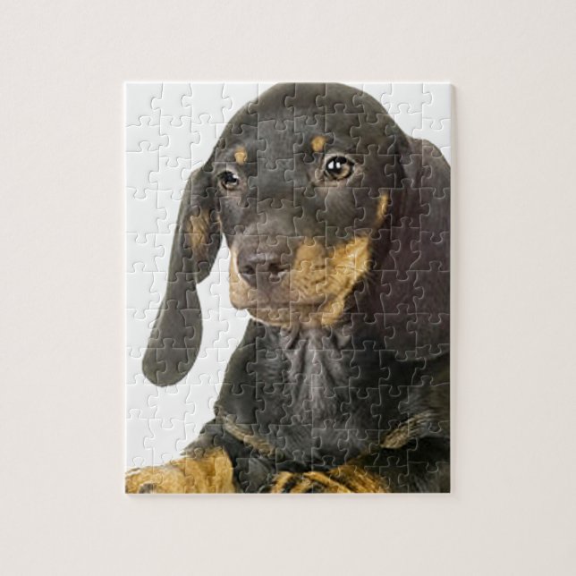 Dachshund Jigsaw Puzzle (Vertical)