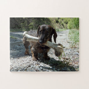 Dachshund Jigsaw Puzzle