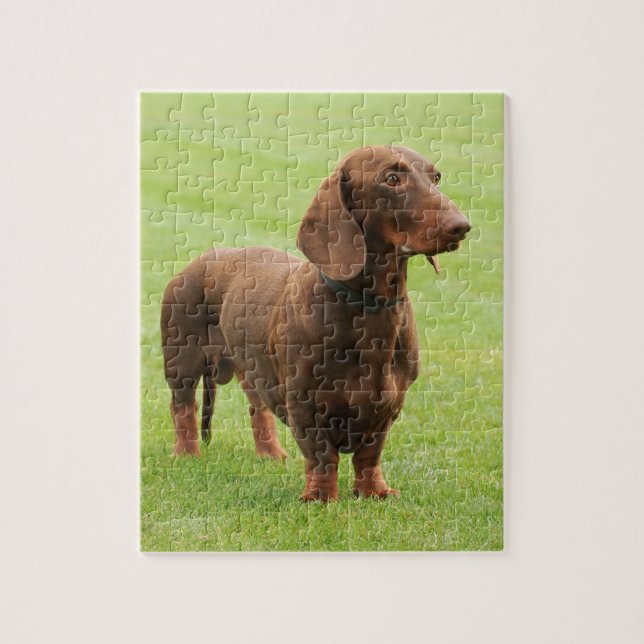 Dachshund Jigsaw Puzzle (Vertical)