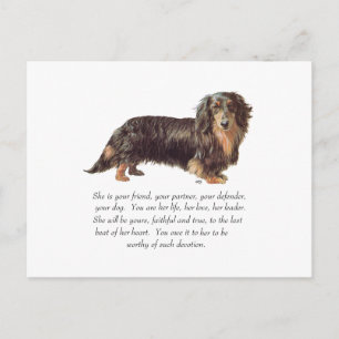 Dachshund Keepsake - Female Postcard