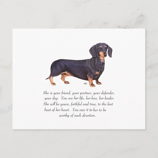 Dachshund Keepsake - Female Postcard (Front)
