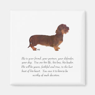 Dachshund Keepsake - Male Magnet