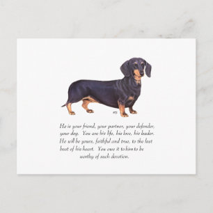 Dachshund Keepsake - Male Postcard