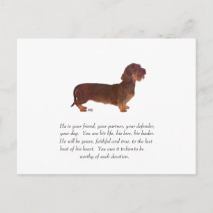 Dachshund Keepsake - Male Postcard