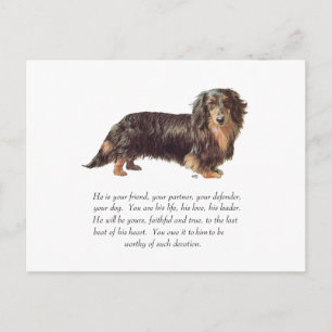 Dachshund Keepsake - Male Postcard