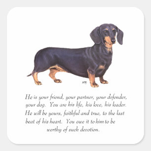 Dachshund Keepsake - Male Square Sticker