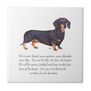 Dachshund Keepsake - Male Tile
