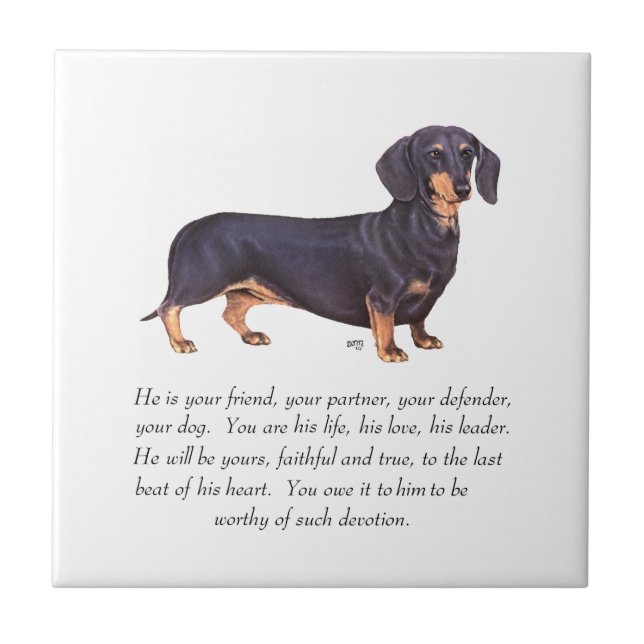 Dachshund Keepsake - Male Tile (Front)