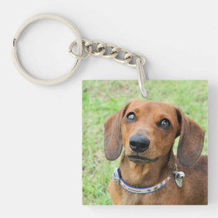 Dachshund key ring