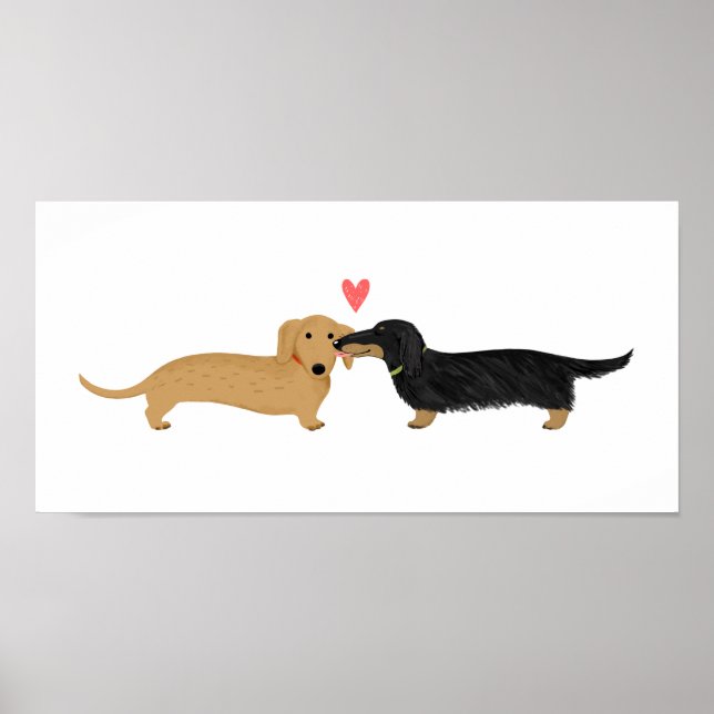 Dachshund Kiss with Heart Poster (Front)