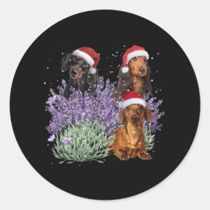 Dachshund Lavender Flower Christmas Gift For Her Classic Round Sticker