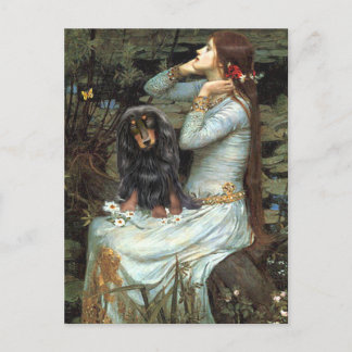 Dachshund (LH-BT) - Ophelia 2 Postcard