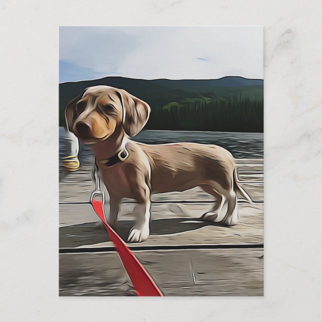 Dachshund Life Is Better With A Dachshund Birthday Postcard (Front)