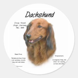 Dachshund (longhair) History Design Classic Round Sticker