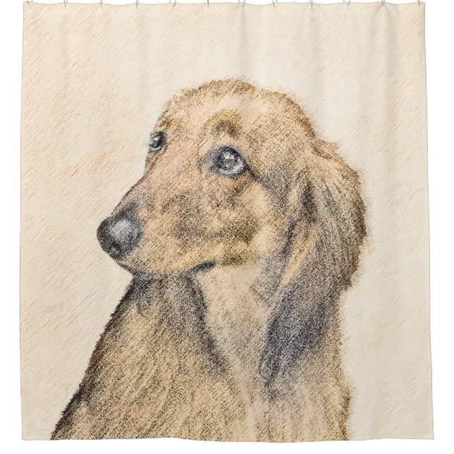 Dachshund (Longhaired) 2 Painting Original Dog Art Shower Curtain (Front)