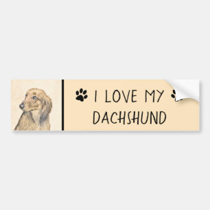 Dachshund (Longhaired) Painting - Original Dog Art Bumper Sticker