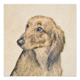 Dachshund (Longhaired) Painting - Original Dog Art Poster