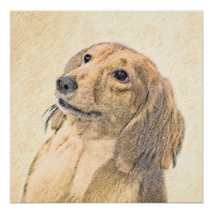 Dachshund (Longhaired) Painting - Original Dog Art Poster