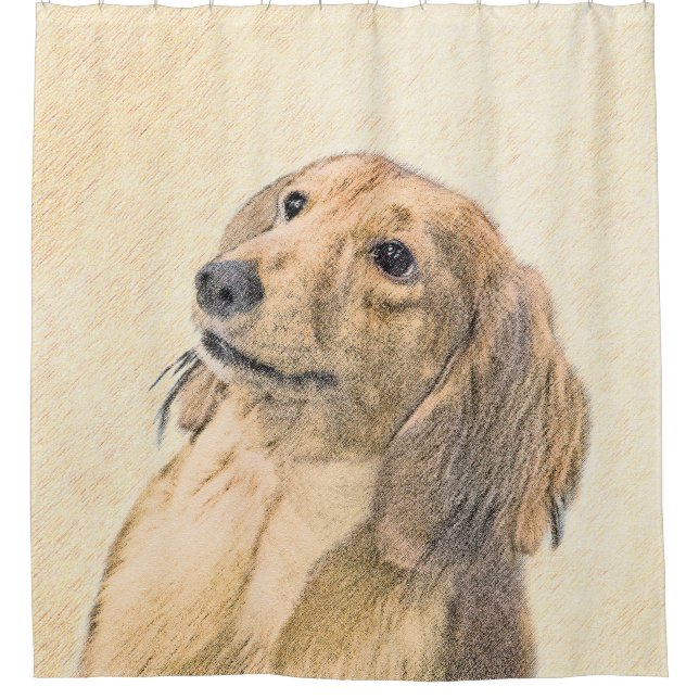 Dachshund (Longhaired) Painting - Original Dog Art Shower Curtain (Front)