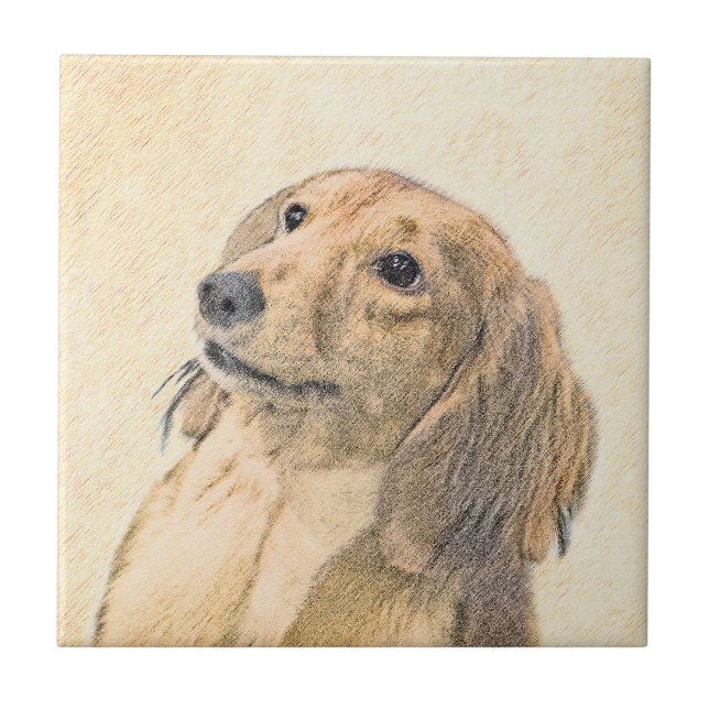 Dachshund (Longhaired) Painting - Original Dog Art Tile (Front)