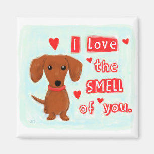 Dachshund Love   Funny Wiener Dog Valentine Magnet