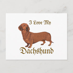 Dachshund Love Postcard