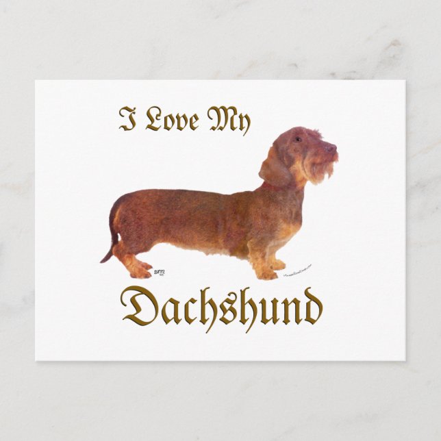 Dachshund Love Postcard (Front)