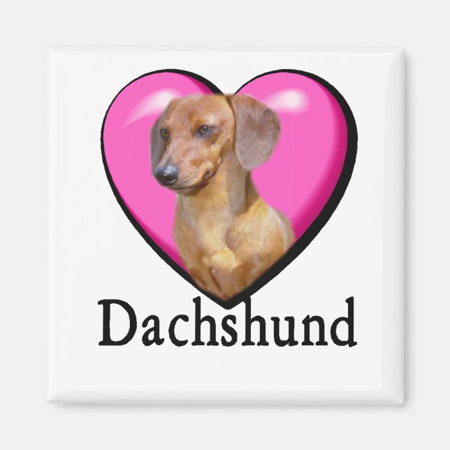 Dachshund Lovers Valentines Magnet (Front)