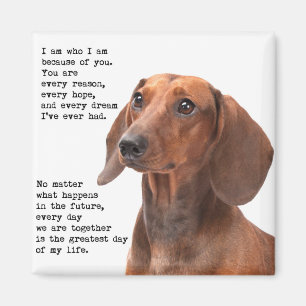 Dachshund Magnet