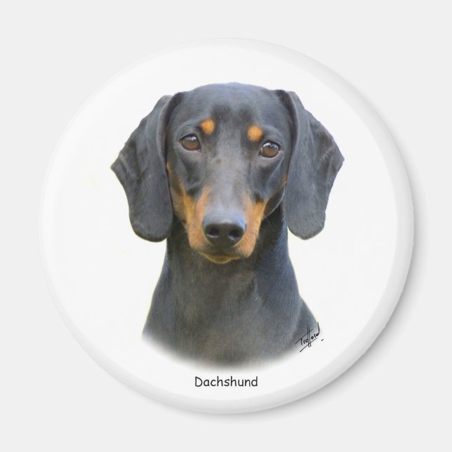 Dachshund Magnet (Front)