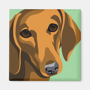 Dachshund Magnets