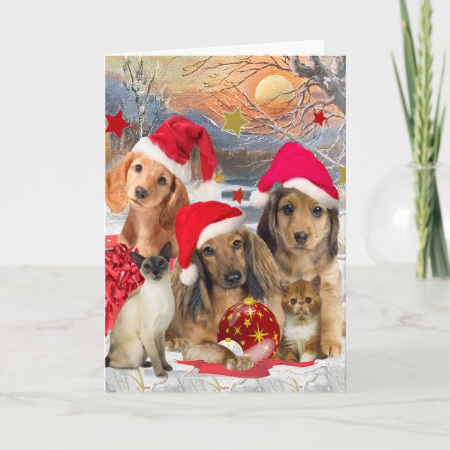 Dachshund Merry Christmas Cards (Front)