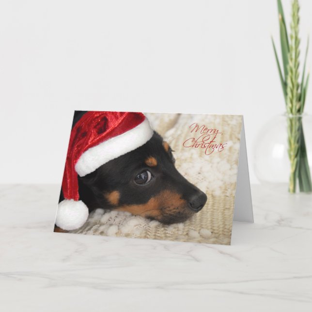 Dachshund Merry Christmas Holiday Card (Front)