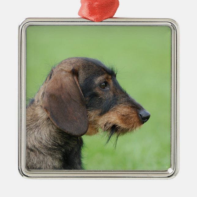 Dachshund Metal Tree Decoration (Front)