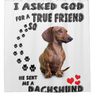 Dachshund Miniature Gift, Sausage Dog, Weenie Wog, Shower Curtain