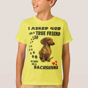 Dachshund Miniature Gift, Sausage Dog, Weenie Wog, T-Shirt