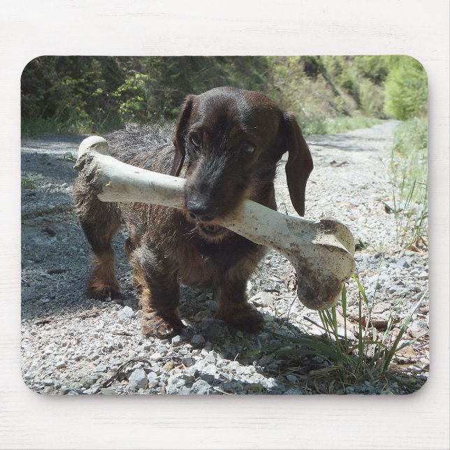Dachshund Mouse Mat (Front)